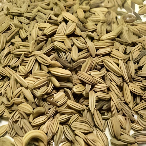 GB Fennel Seeds 5 LBS