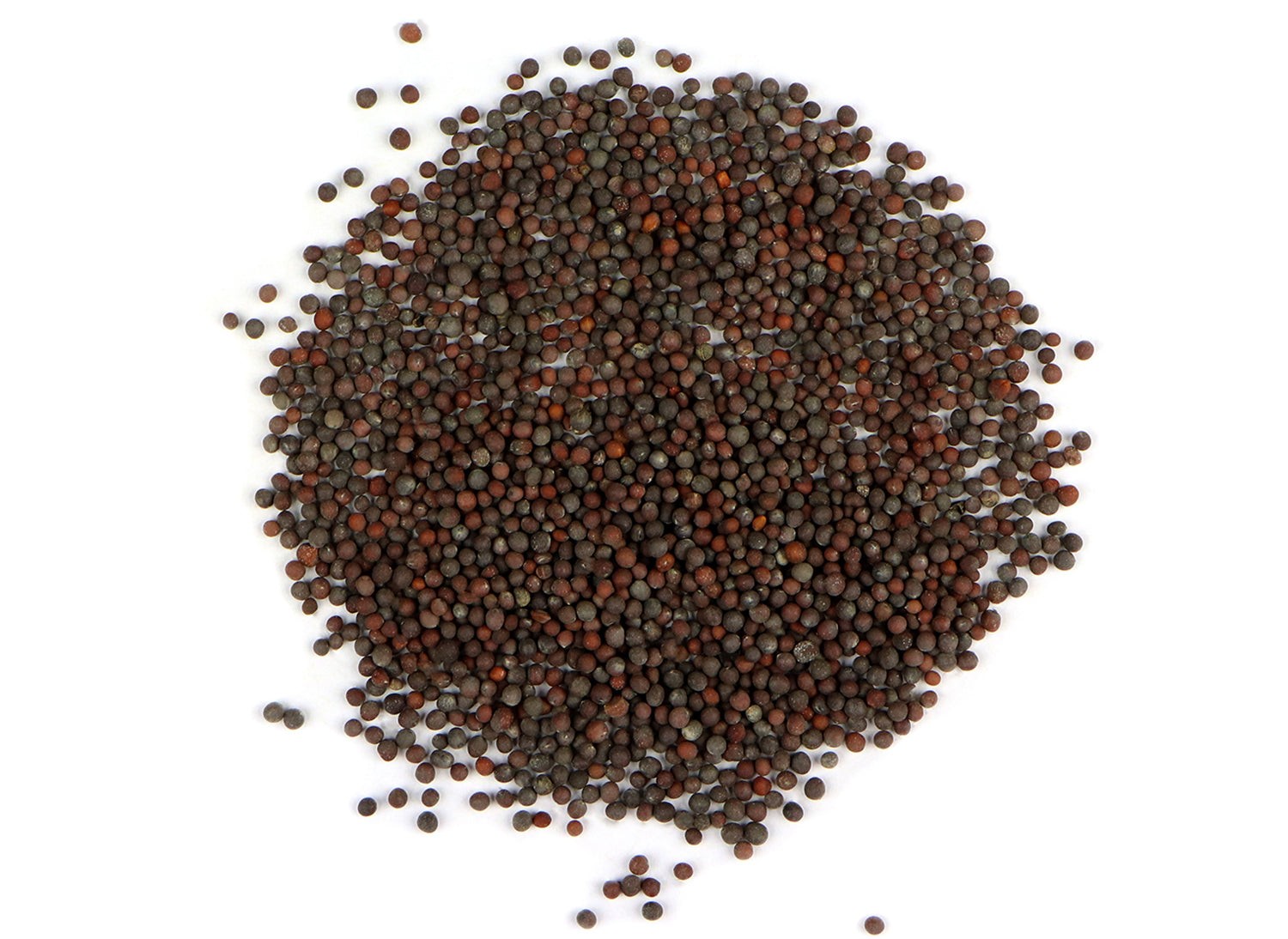 ANDHRA MUSTARD GRAIN MARKET 200 GM