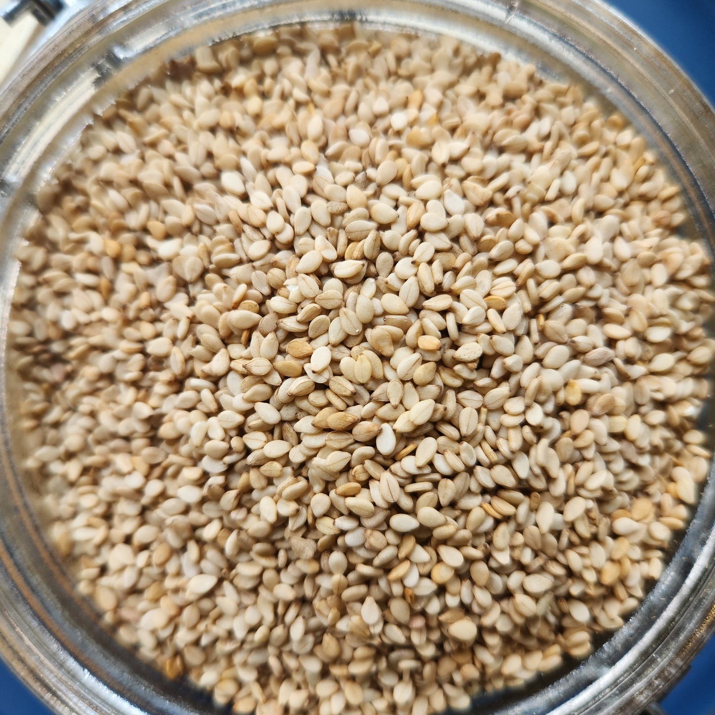Suraj White Sesame 400 GM