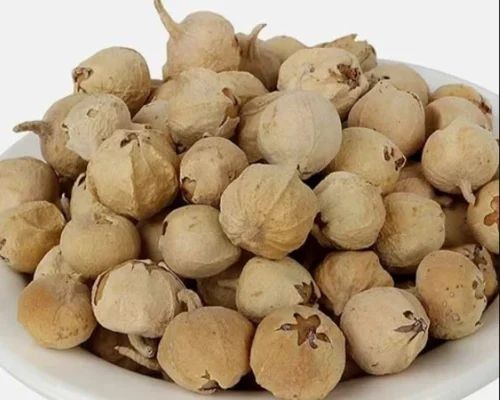 Hans Paneer Dodi 100 GM