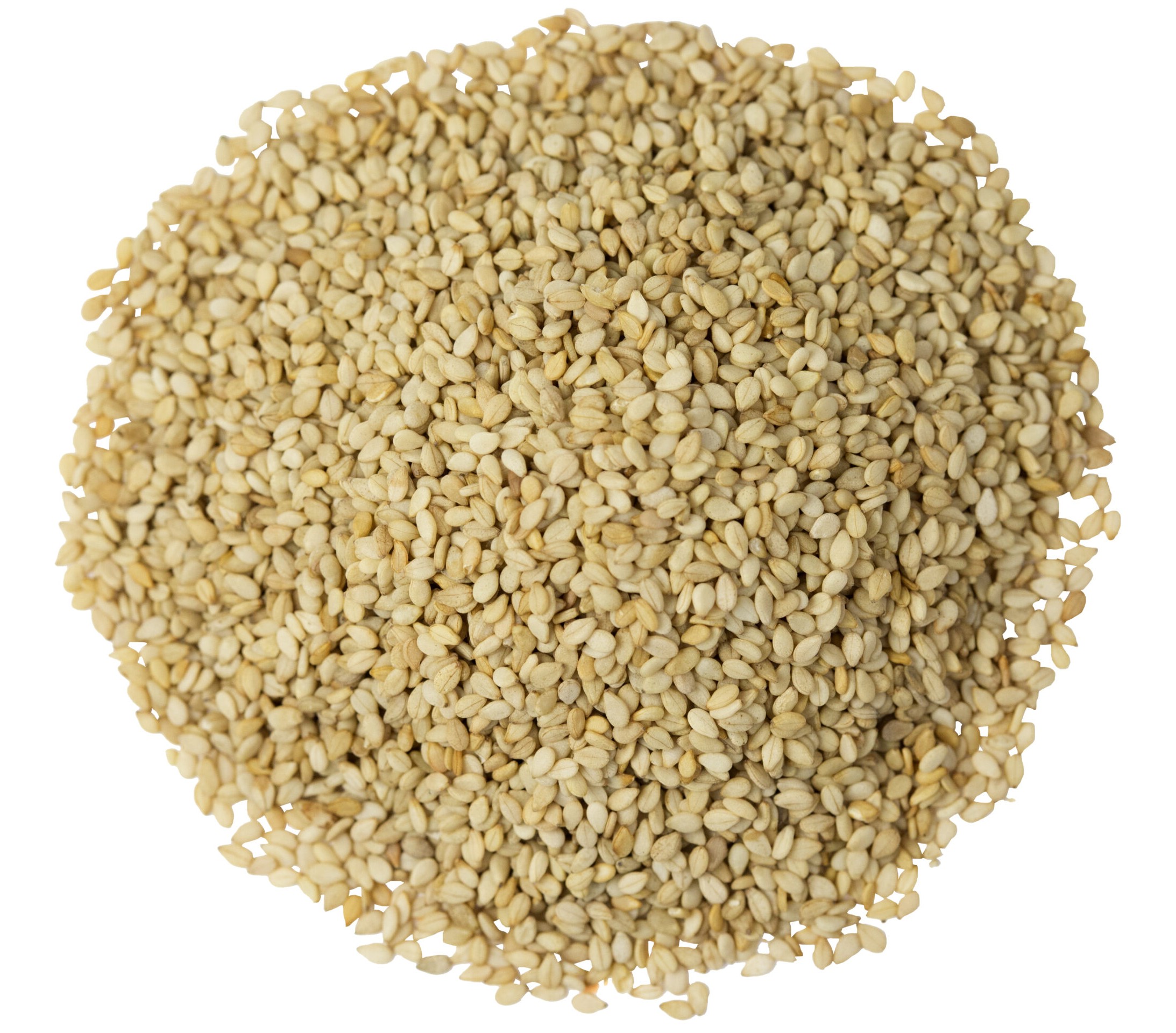 BROWN SESAME SEED GRAIN MARKET