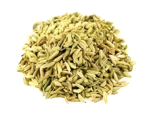 FENNEL SEEDS (SAUNF) GRAIN MARKET 100 GM
