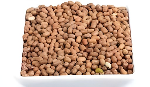 MOTH WHOLE(MOTH BEANS) GRAIN MARKET