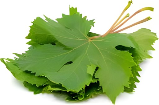 Grape Leaves 32 OZ
