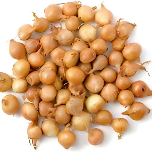 SMALL ONION 8 OZ