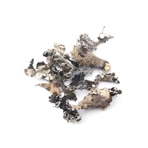 TATHASTU DAGAD PHOOL 50 GM