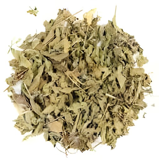 Tulsi Leaves 100 GM