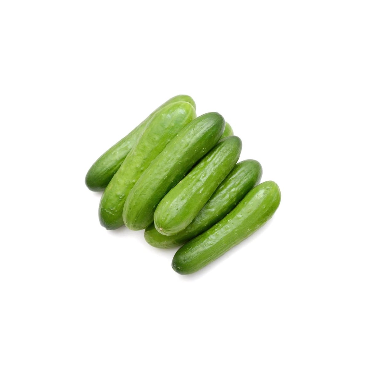 MINI CUCMBER 12OZ 12 OZ