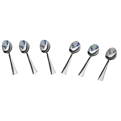 Vinod Stainless Steel Spoon 6 PCS