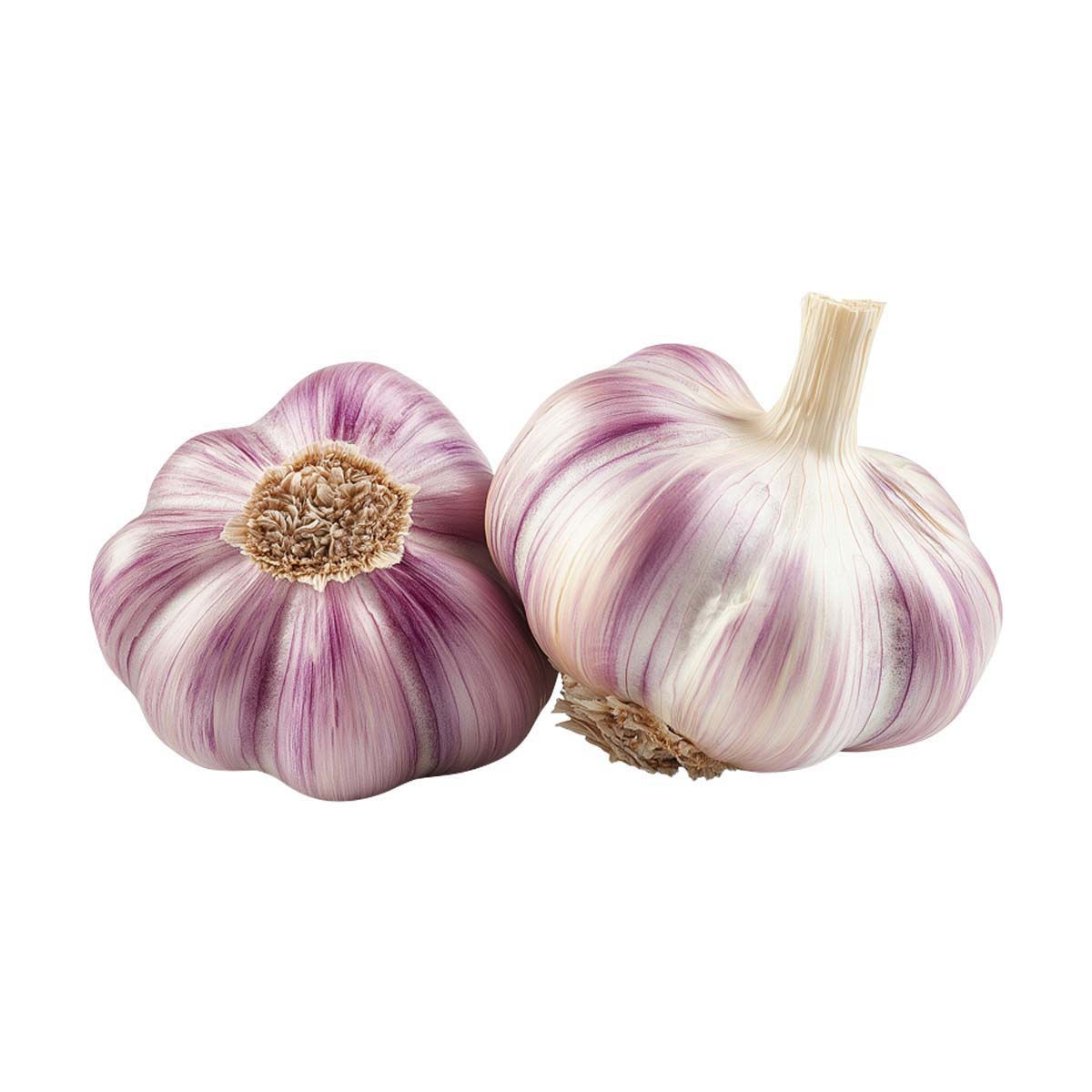 Fresh Garlic 2 COUNT