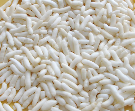 Gaay Surti Mamra 800 GM