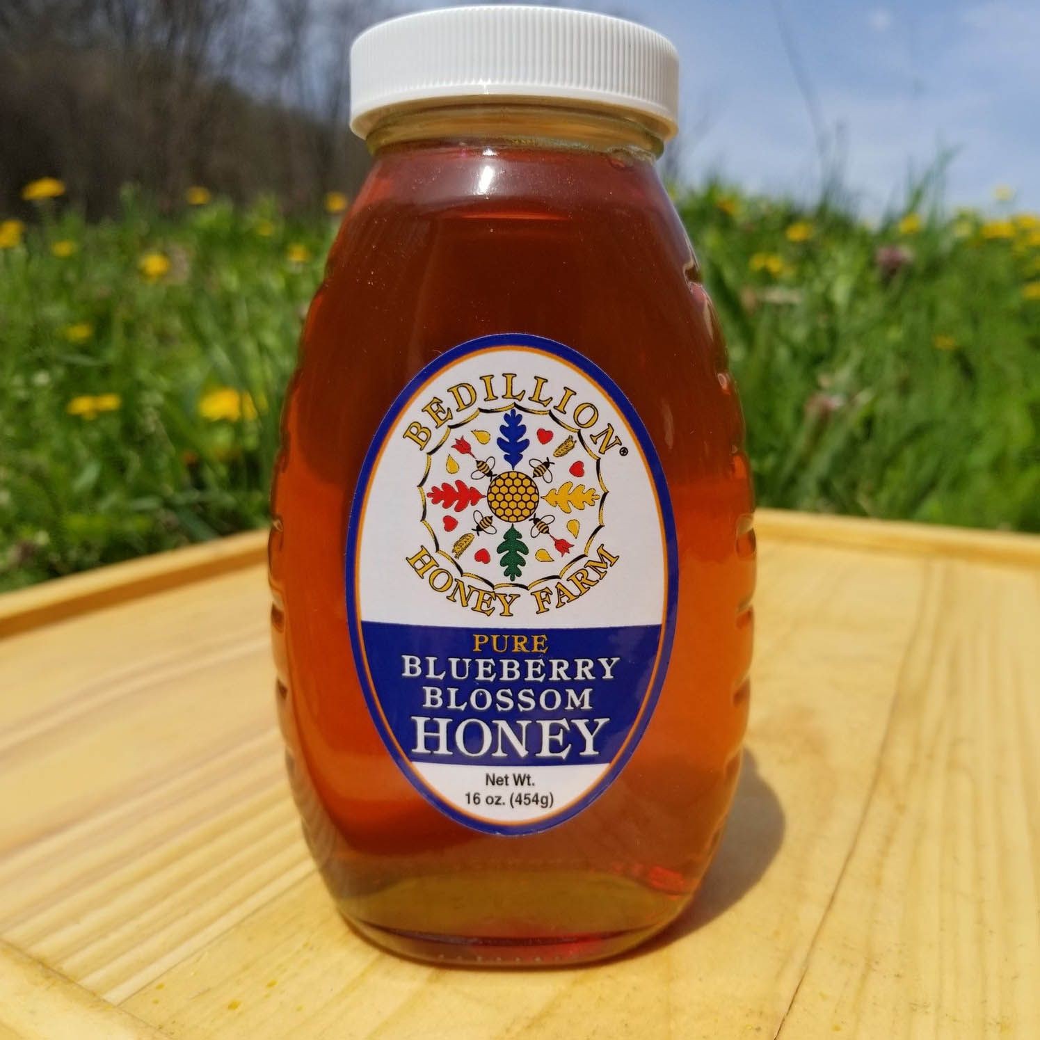 AMERICAN PURE HONEY BLUEBERRY BLOSSOM 16 OZ