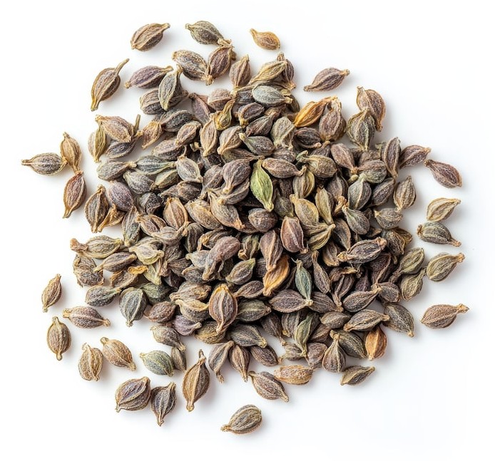 LAZZAT AJWAIN 100 GM
