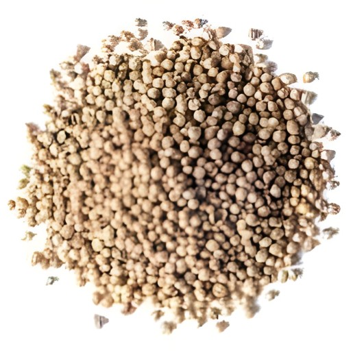 Supreme Coriander Whole 200 GM