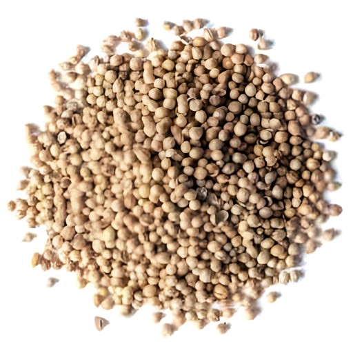 ORGANIC CORIANDER 7 OZ