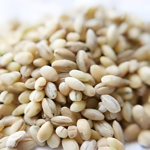 PEARL BARLEY GRAIN MARKET 2 LBS