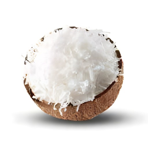 COCONUT POWDER (MEDIUM) GRAIN MARKET 200 GM