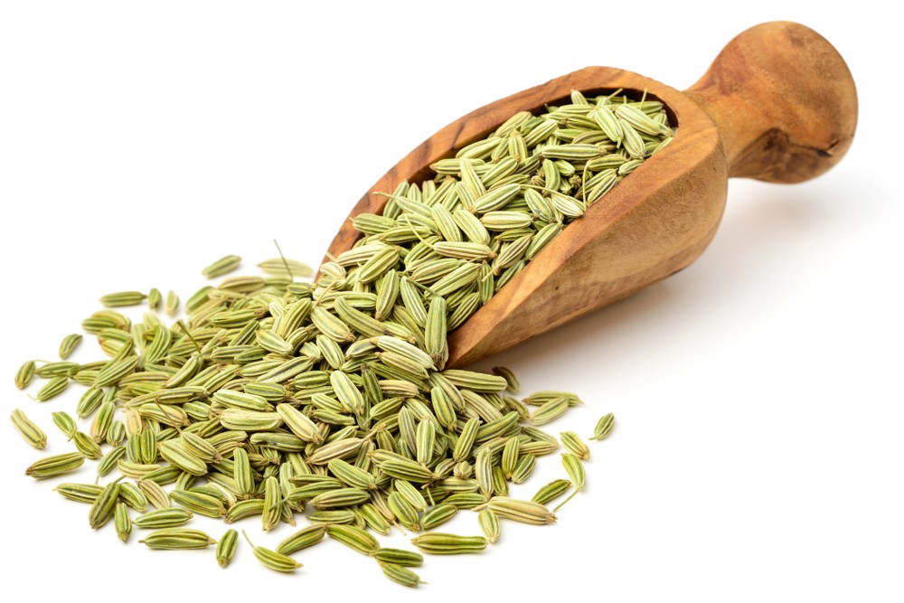 Flower Brand Fennel 300 GM