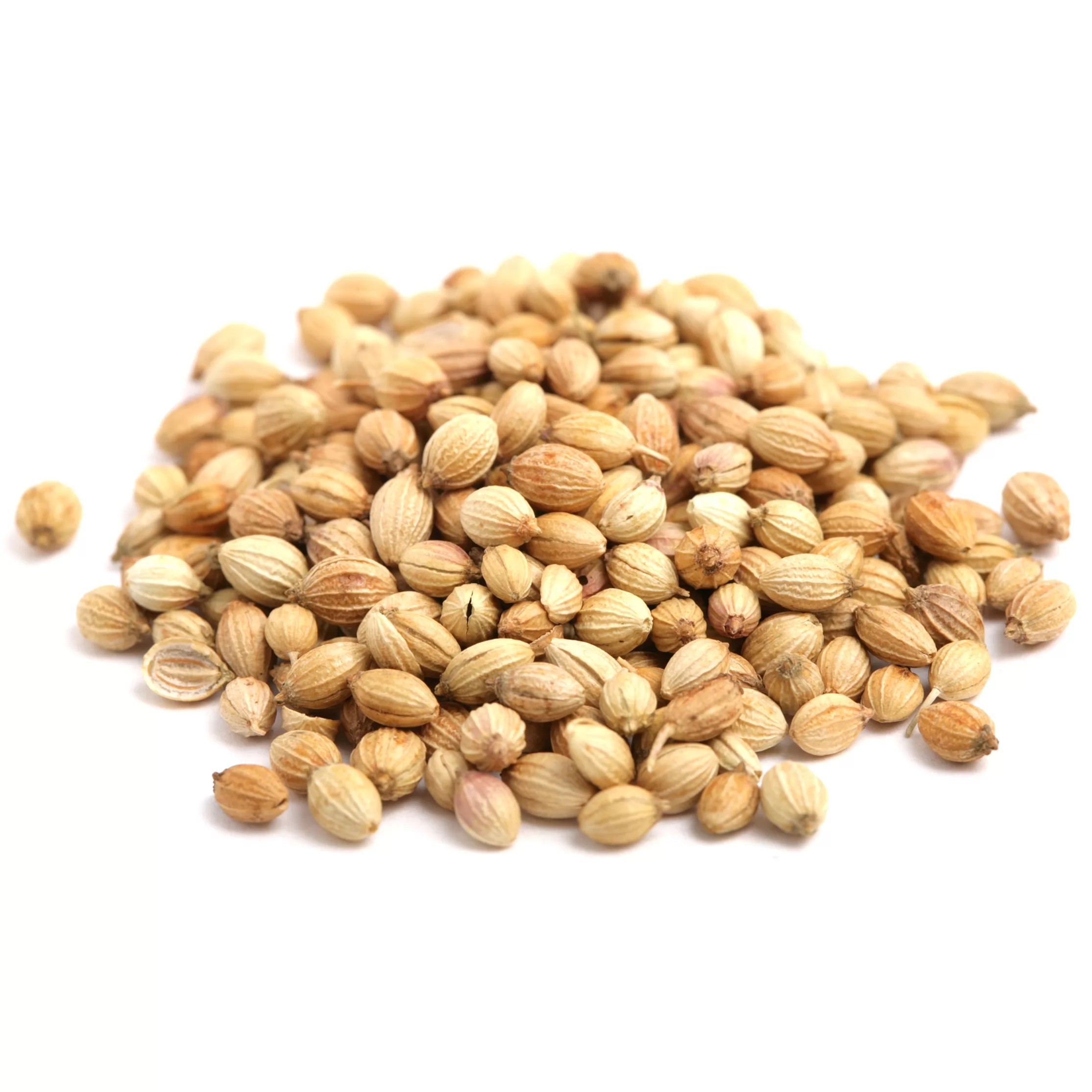 Deer Corinder Seeds  3 LBS
