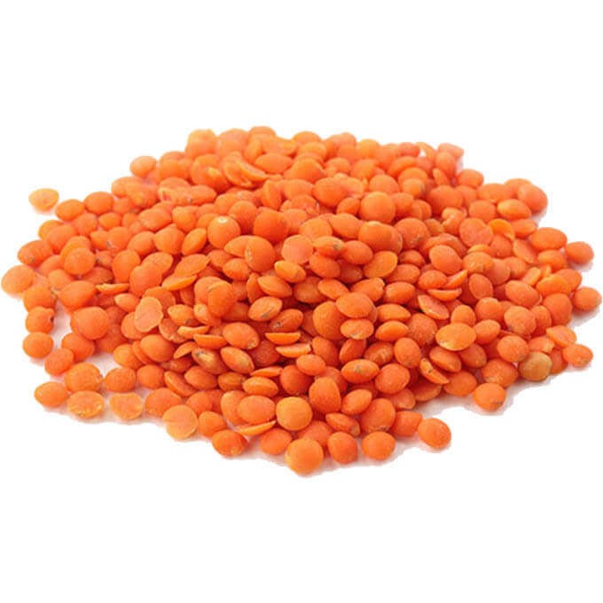 DR MASOOR GOTA 2 Lbs