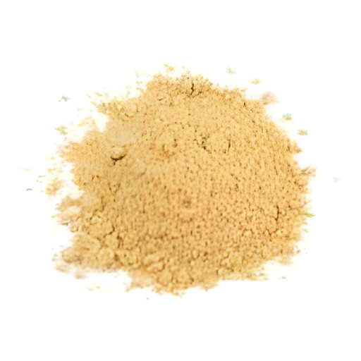 Gazab Ginger Powder 400 GM