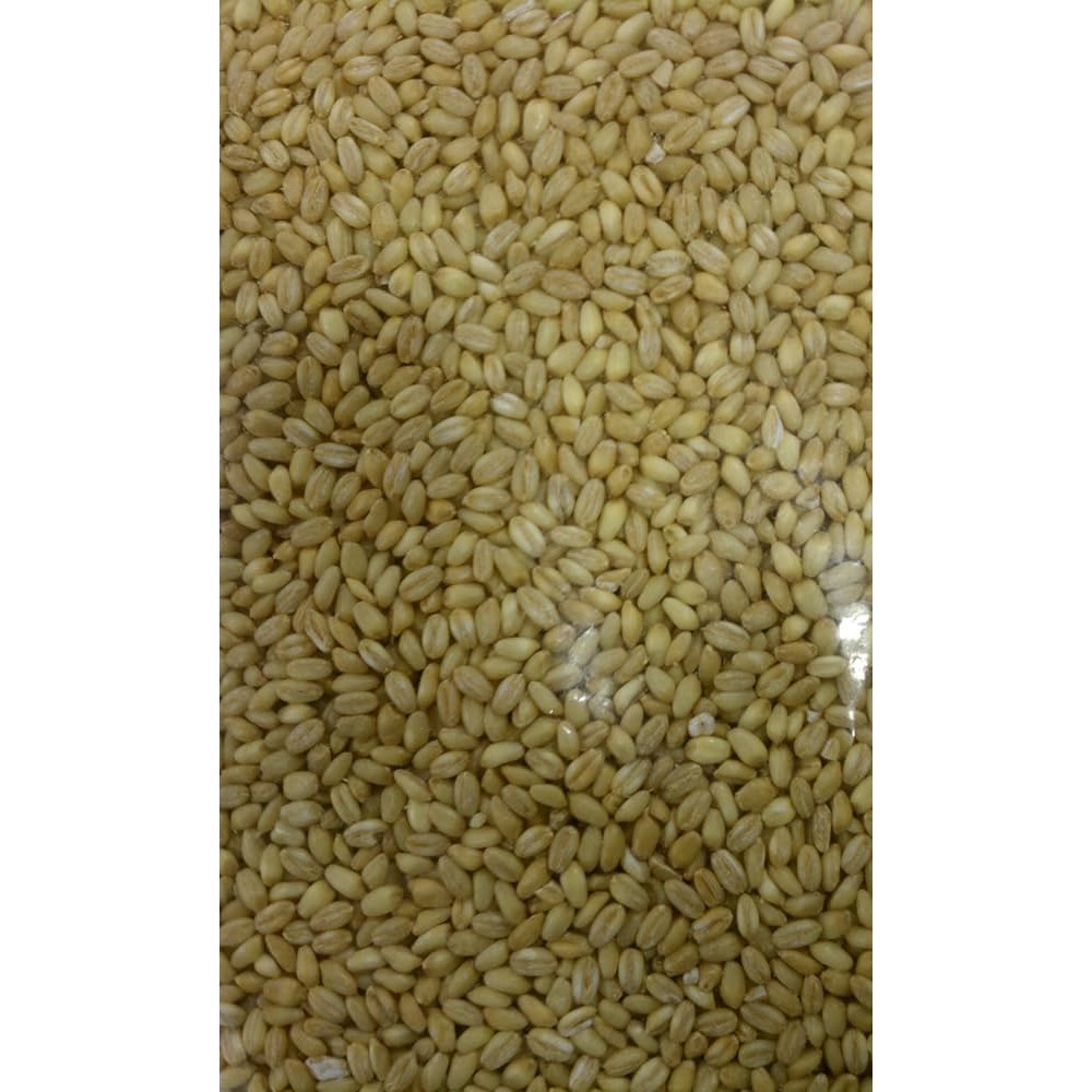 Gazab Haleem Wheat 4 LBS