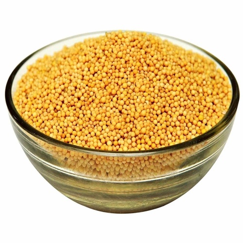 Gazab Mustard Yellow 400 GM