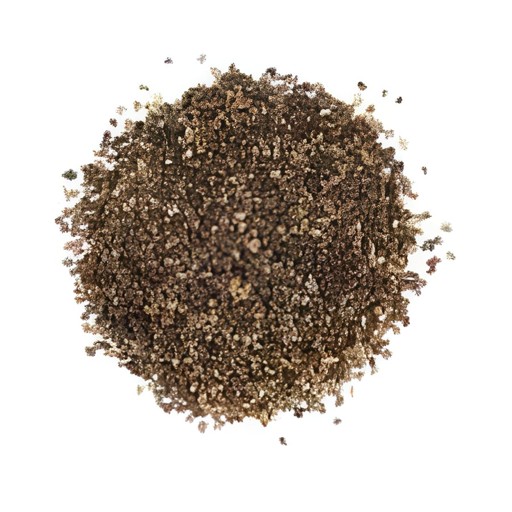 Gazab Cardamom Seeds 100 GM