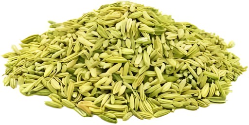Gazab Fennel Seeds 800 GM