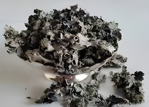 Gazab Dagad Phool 100 GM
