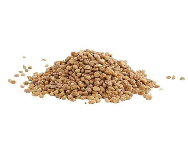 Gazab Charoli 200 GM