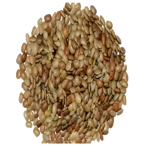 GAZAB HORSE GRAM  4 LBS