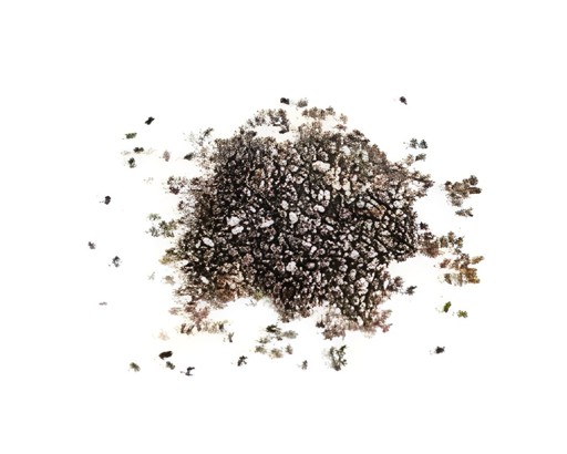 Gazab Chia Seeds 0.44 Lbs