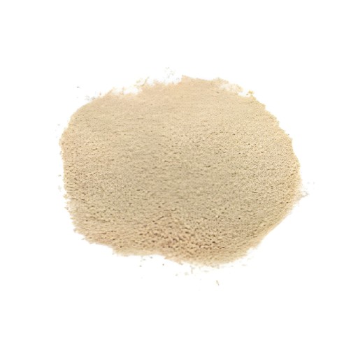 Gazab Dried Yeast 100 GM