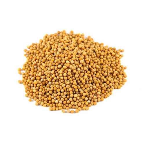 Gazab Mustard Seeds 14 OZ
