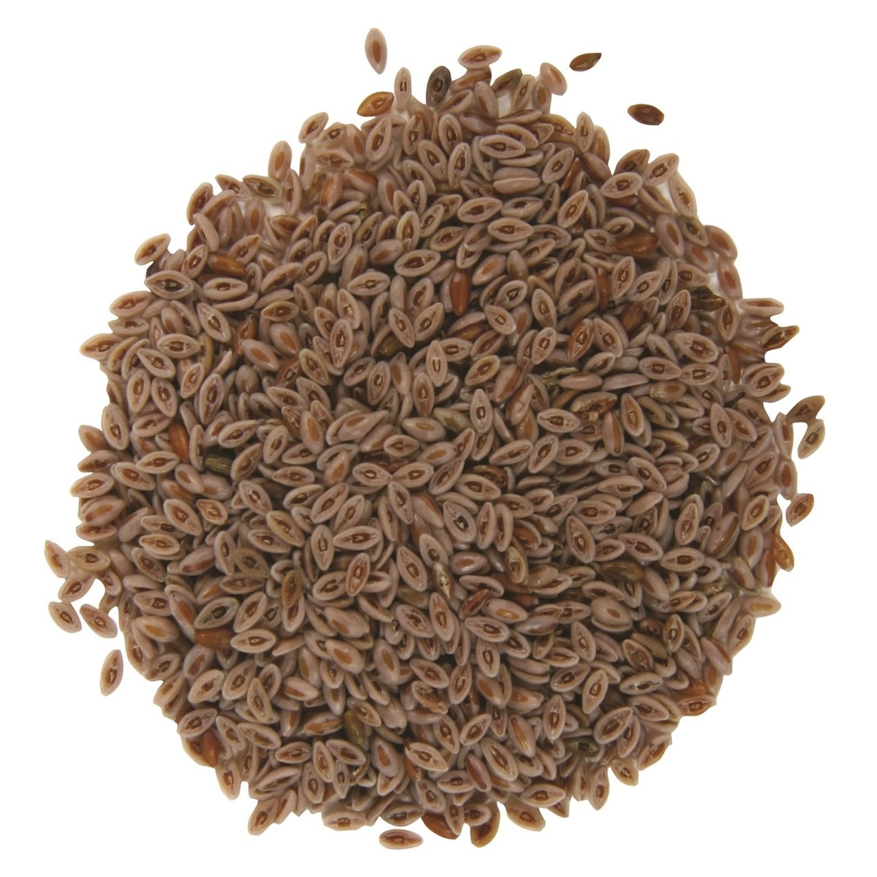 Hans Isabgol Whole 200 GM