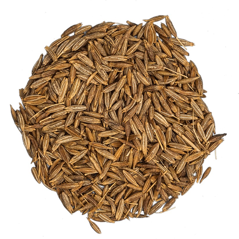 Cuminseeds 1 PACK