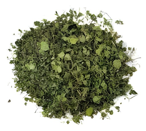 Kasoori Methi 100 GM