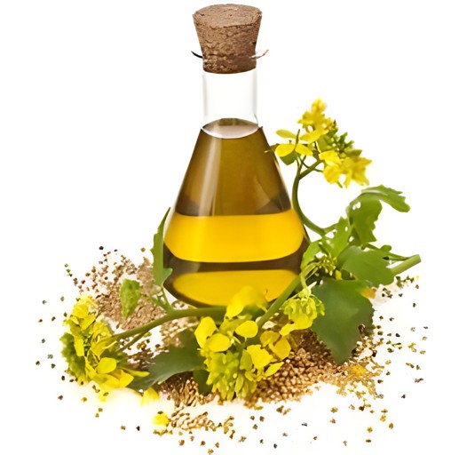 G.Choice Canola Oil 48 OZ