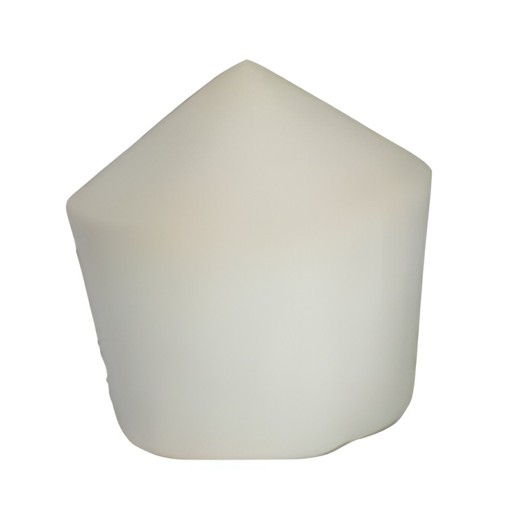 COCONUT PEELED 1 PACK
