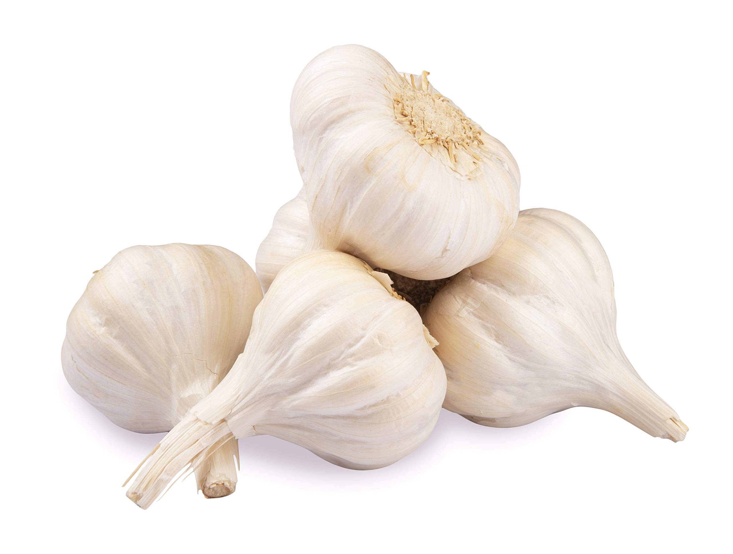 Fresh Garlic 5 PACK