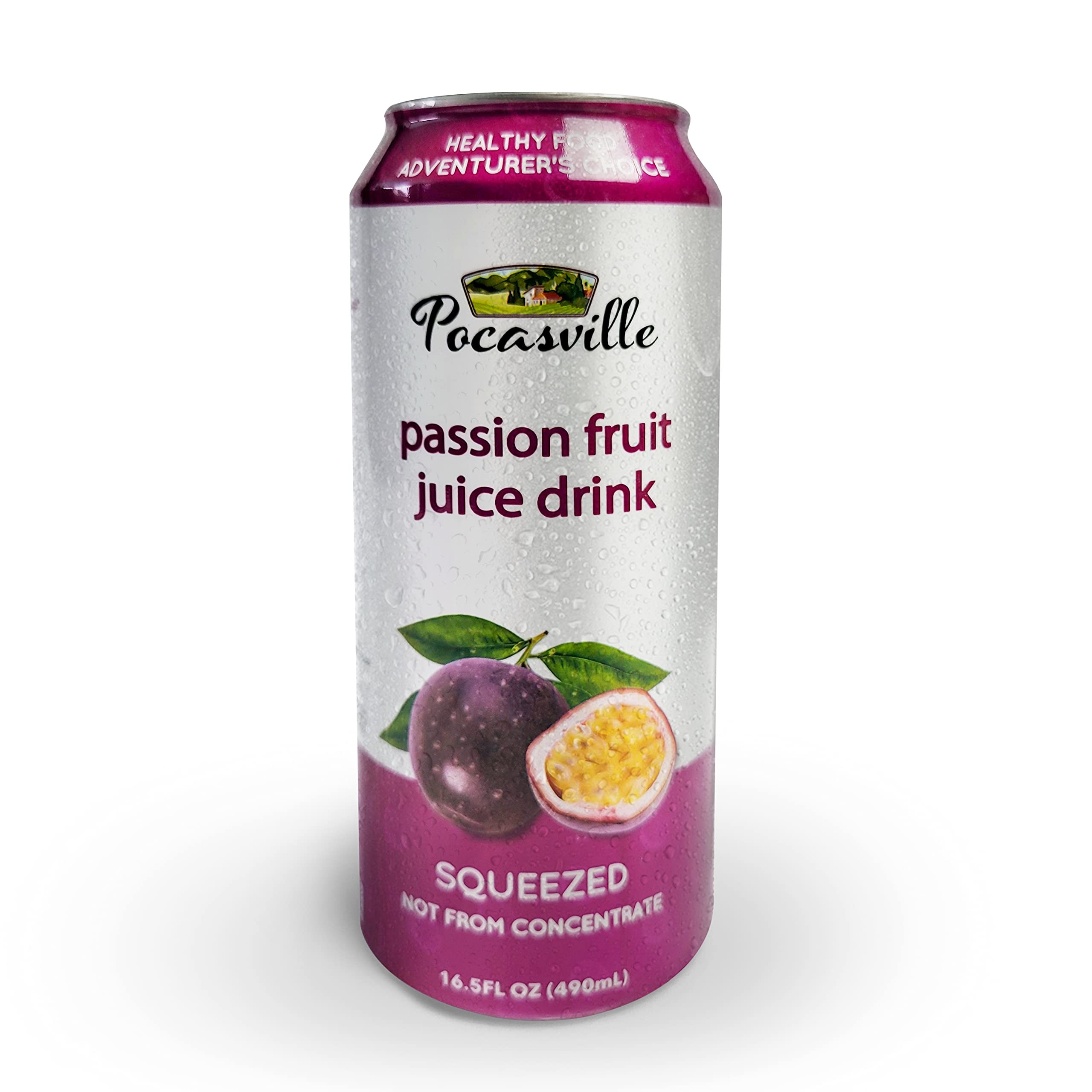 Passion Fruit Juice Drink 16.5 OZ
