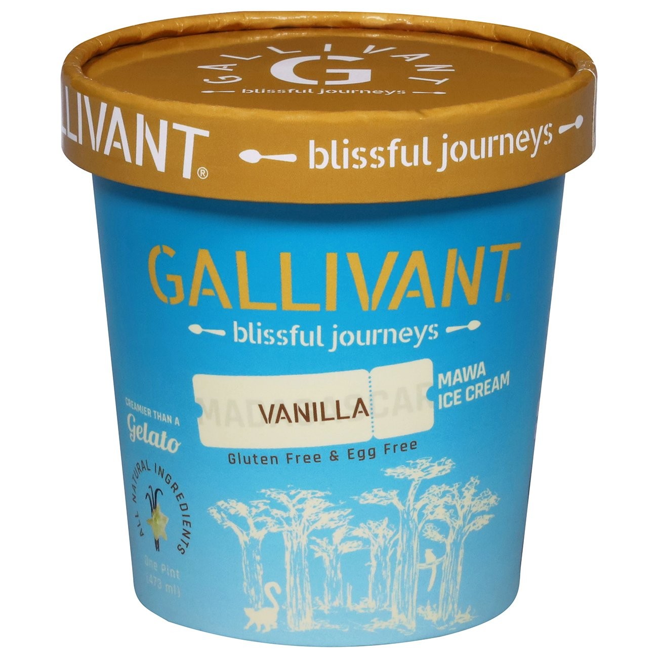 Gallivant Vanilla Ice Cream 473 ML