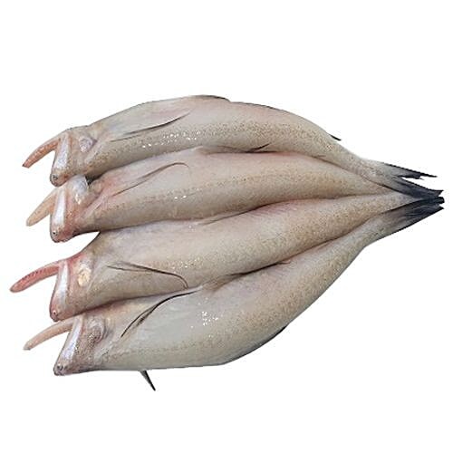 Lotia Fish 1 LBS