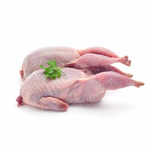 Jumbo Quail 6 PCS