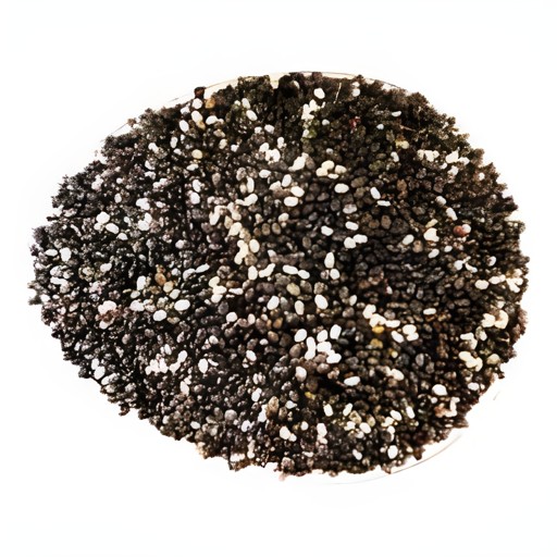 KFI Chia Seeds 200 Gm
