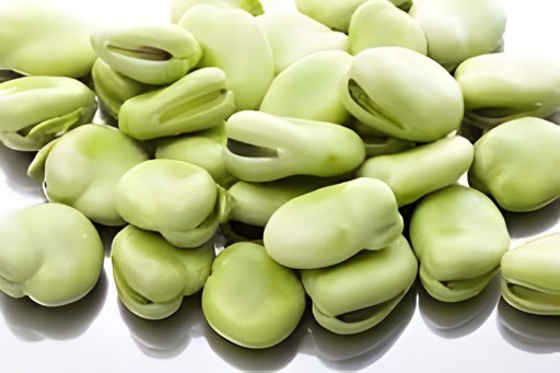 The Farm Broad Fava 680 GM