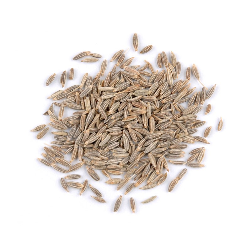 ORGANIC SPICE CUMIN WHOLE 80 GM