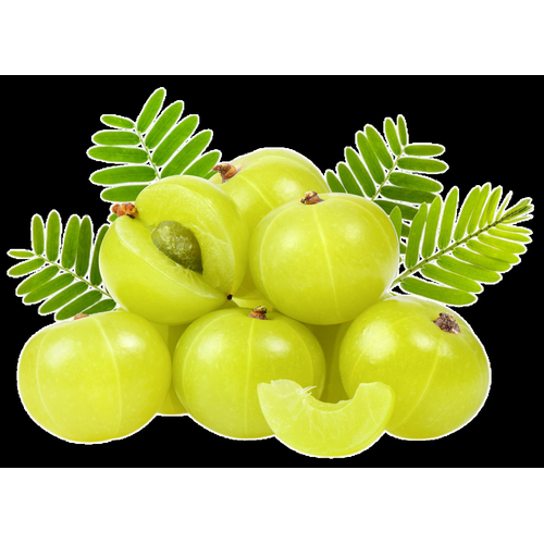 Gooseberry 1 PACK
