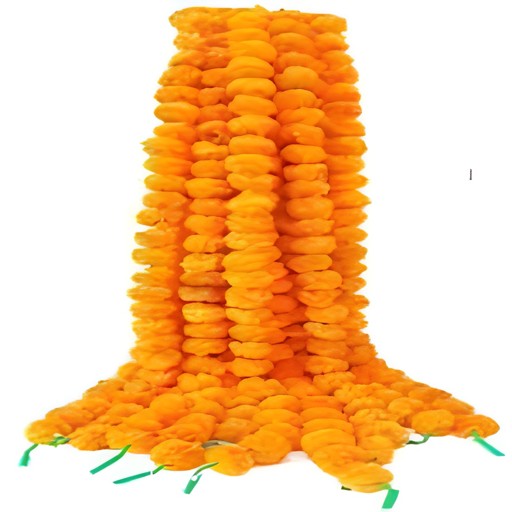 Ladi Marigold 1 Each